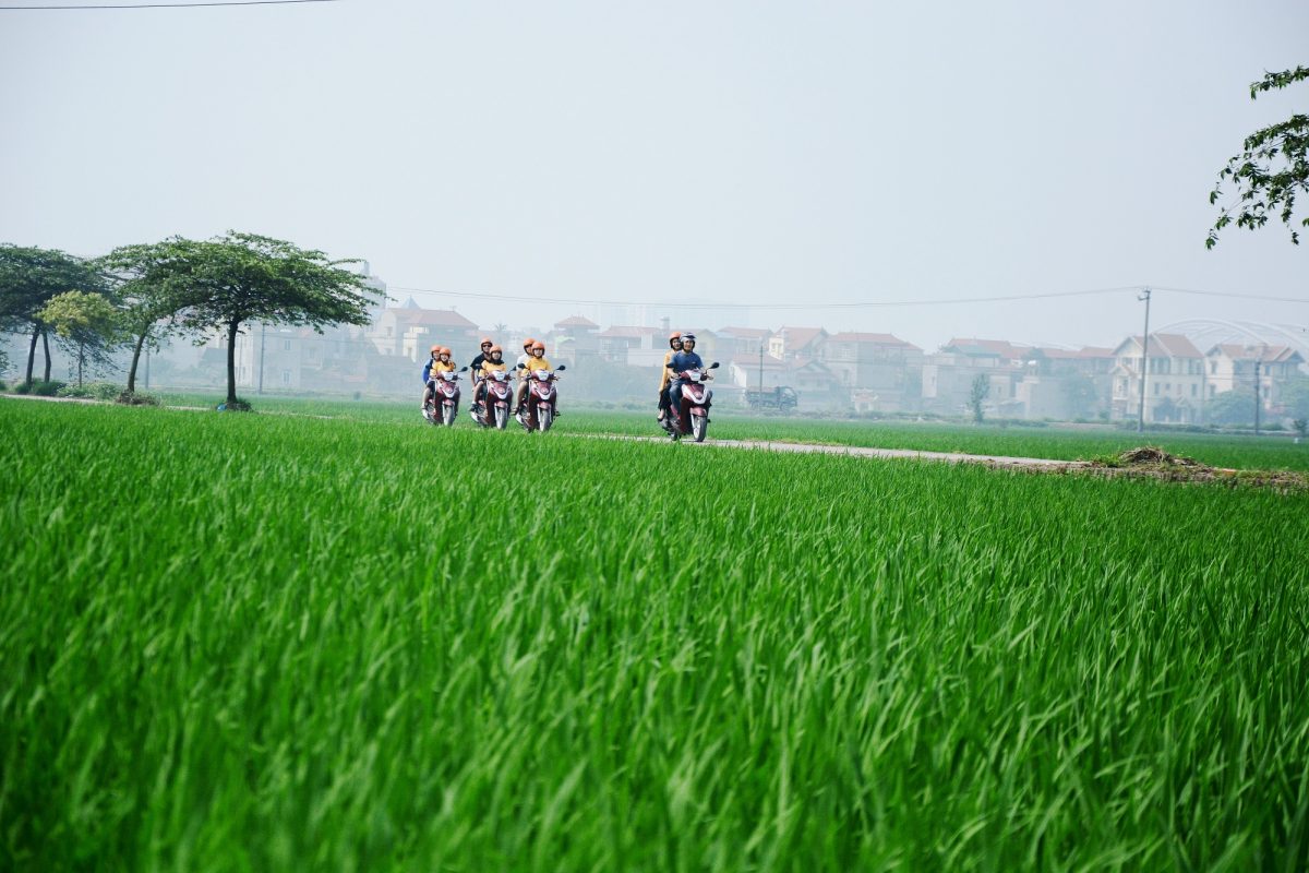 Motorbike City Tours – Hanoi Food and Sights Scooter Tours Led by Women