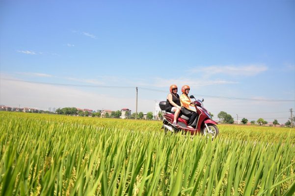 MOTORBIKE CITY TOURS – Hanoi Food and Sights Scooter Tours Led by Women - Hanoi Motorcycle tours, Hanoi Vespa Tours, Hanoi Scooter tours, Hanoi Moped tours, Hanoi Motorbike Tours