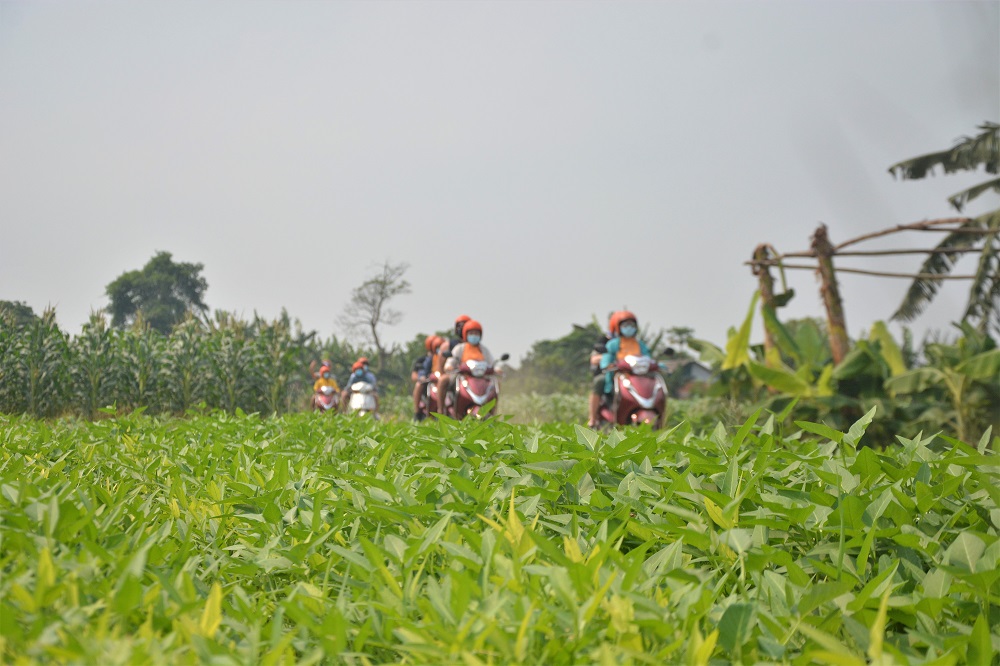 MOTORBIKE CITY TOURS – Hanoi Food and Sights Scooter Tours Led by Women - Hanoi Motorcycle tours, Hanoi Vespa Tours, Hanoi Scooter tours, Hanoi Moped tours, Hanoi Motorbike Tours