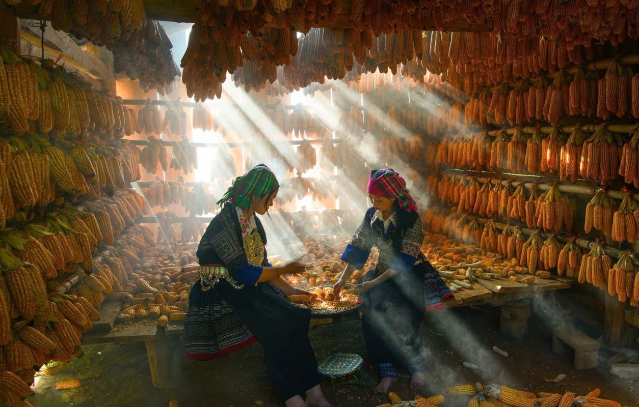 Motorbike City Tours