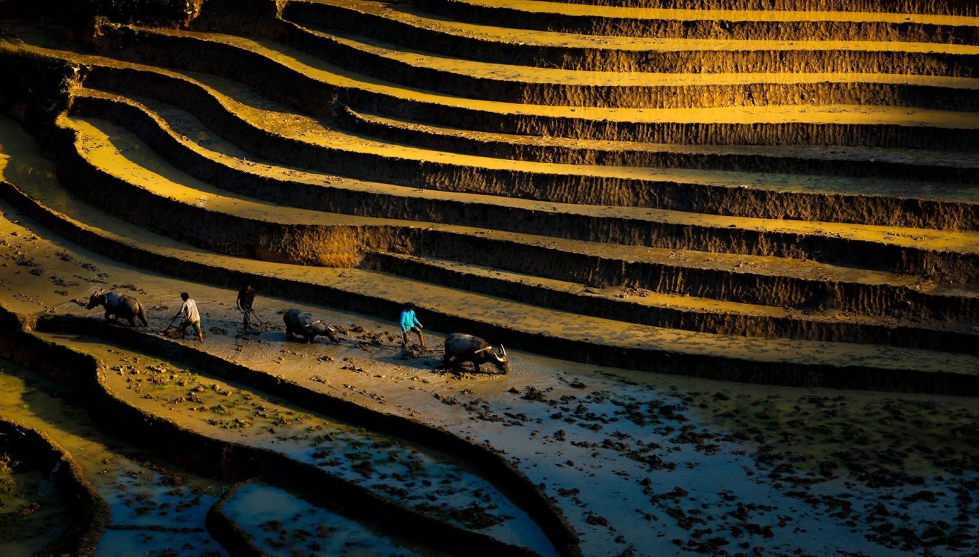 Motorbike City Tours
